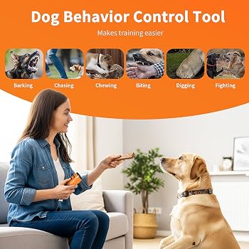 BarkShield™ Ultrasonic Dog Trainer